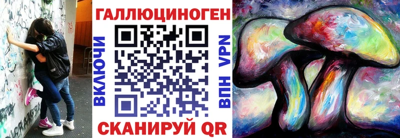 kraken tor  Данков  Псилоцибиновые грибы Cubensis 